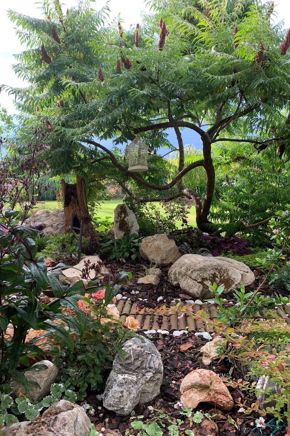 Garden g5f94eda45 1920