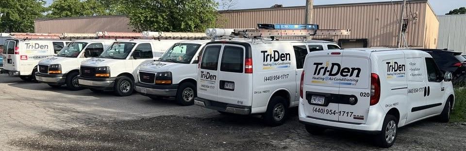 Tri den vans