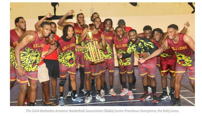 2024 lions win knockout 