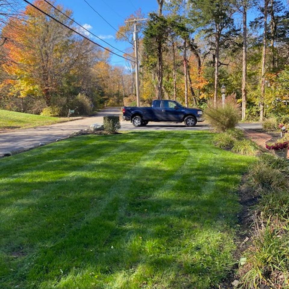 Sullivan front lawn restore photo after