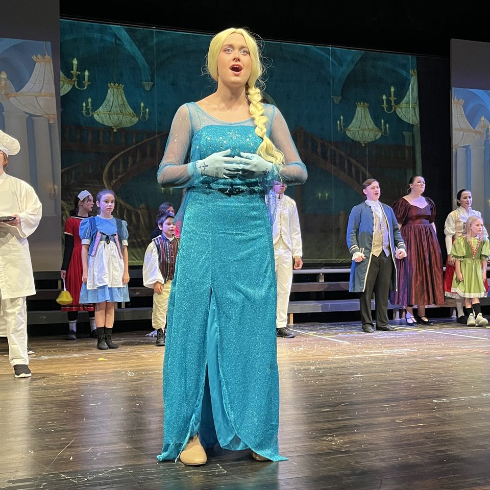 Arts frozen older elsa