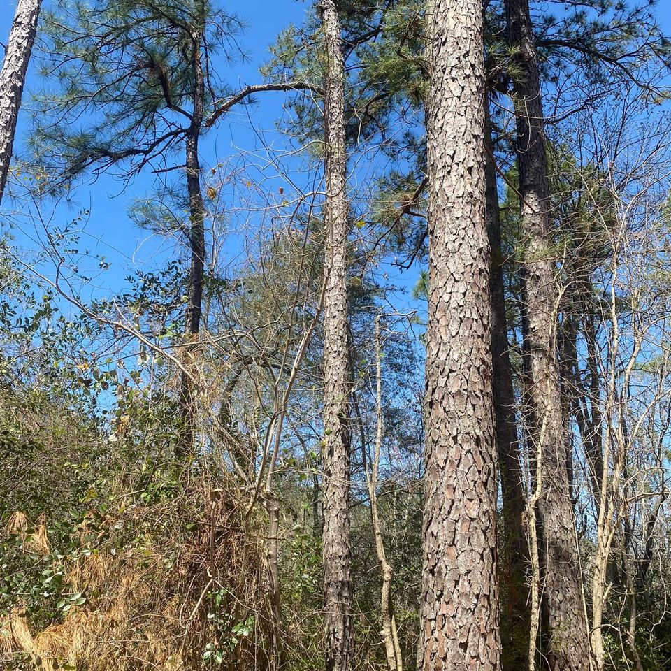 469533760 1491999264796879 2673955395534494901 n