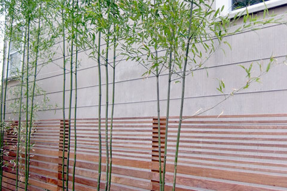 Kronquist residence 16