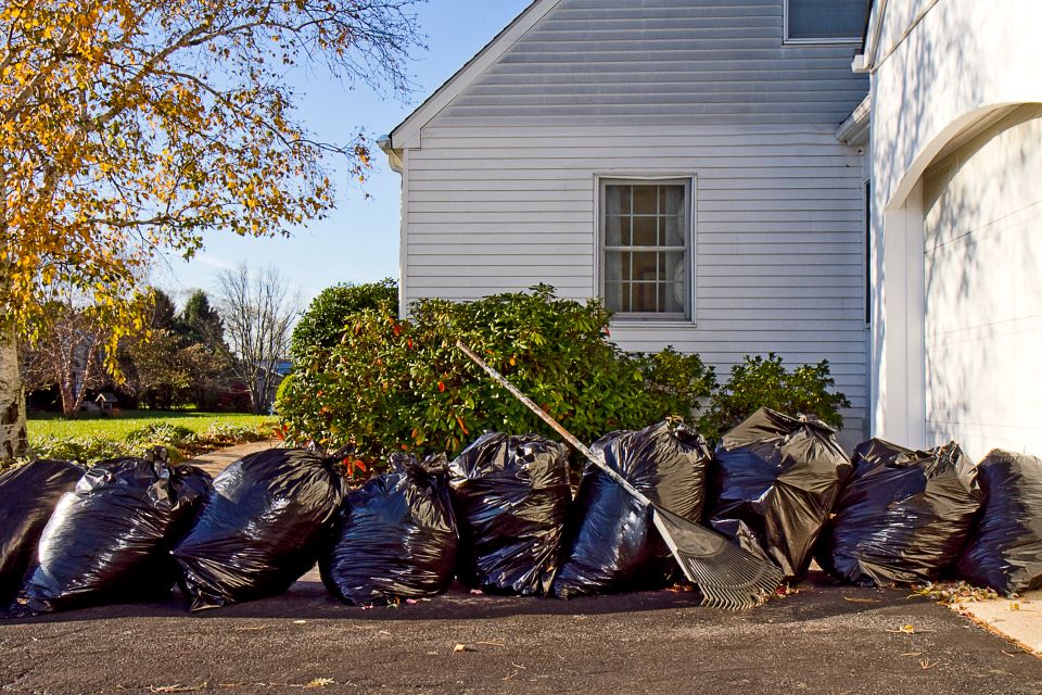 Bags lined up outside of home filled to the brim with fallen leaves