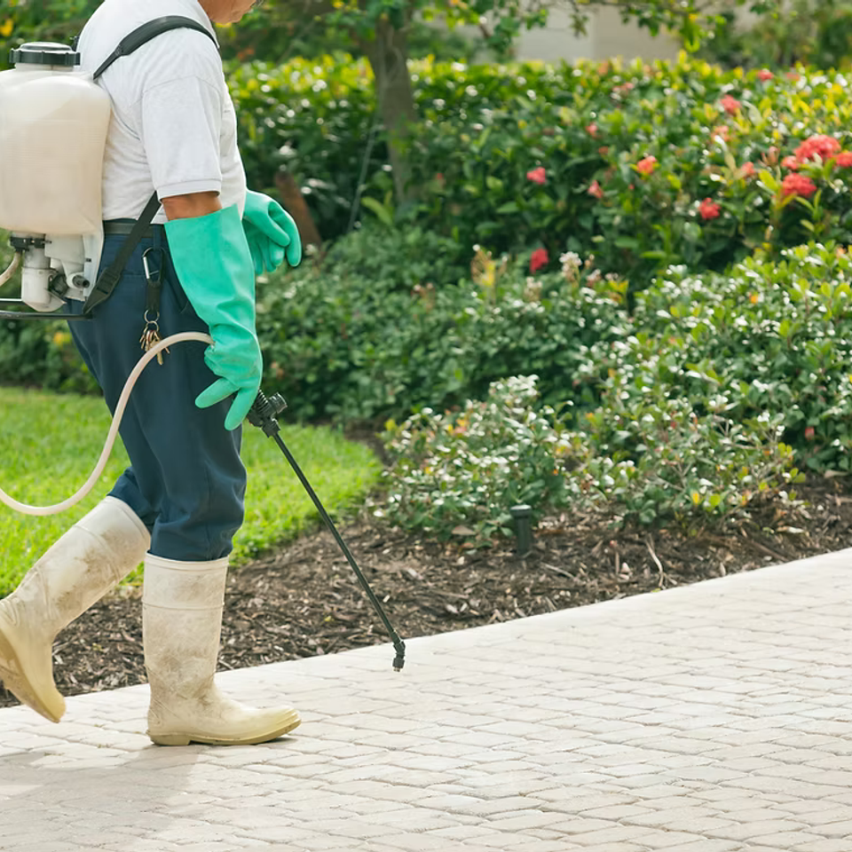 Weed control