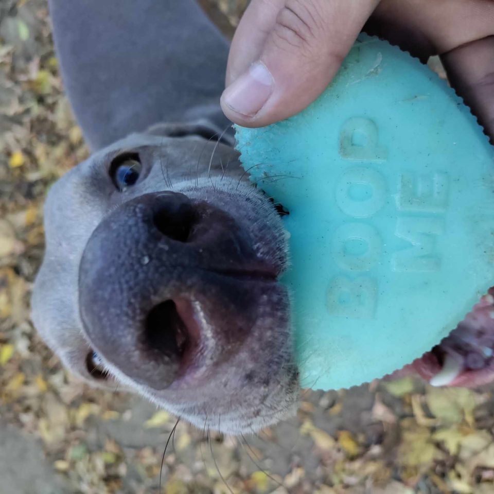 Received 1085874159581434