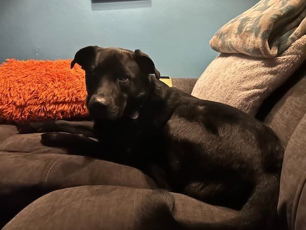 Cb4009b3 f4be 4935 aa39 cf9152245f26