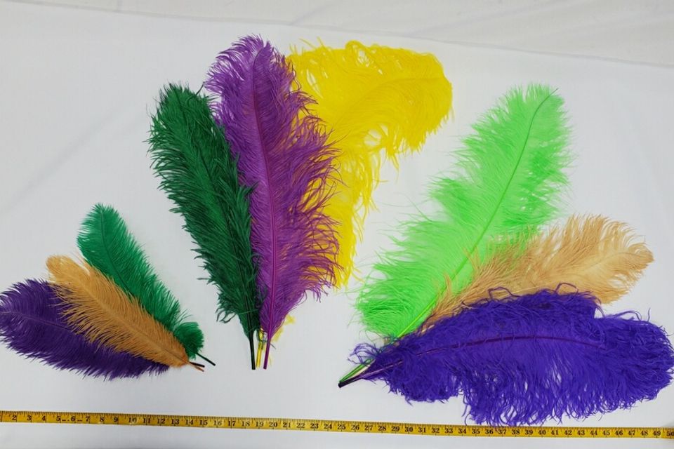 Ostrich feathers