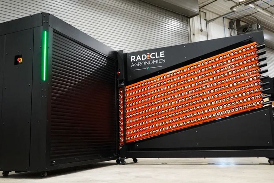 Radicle lab