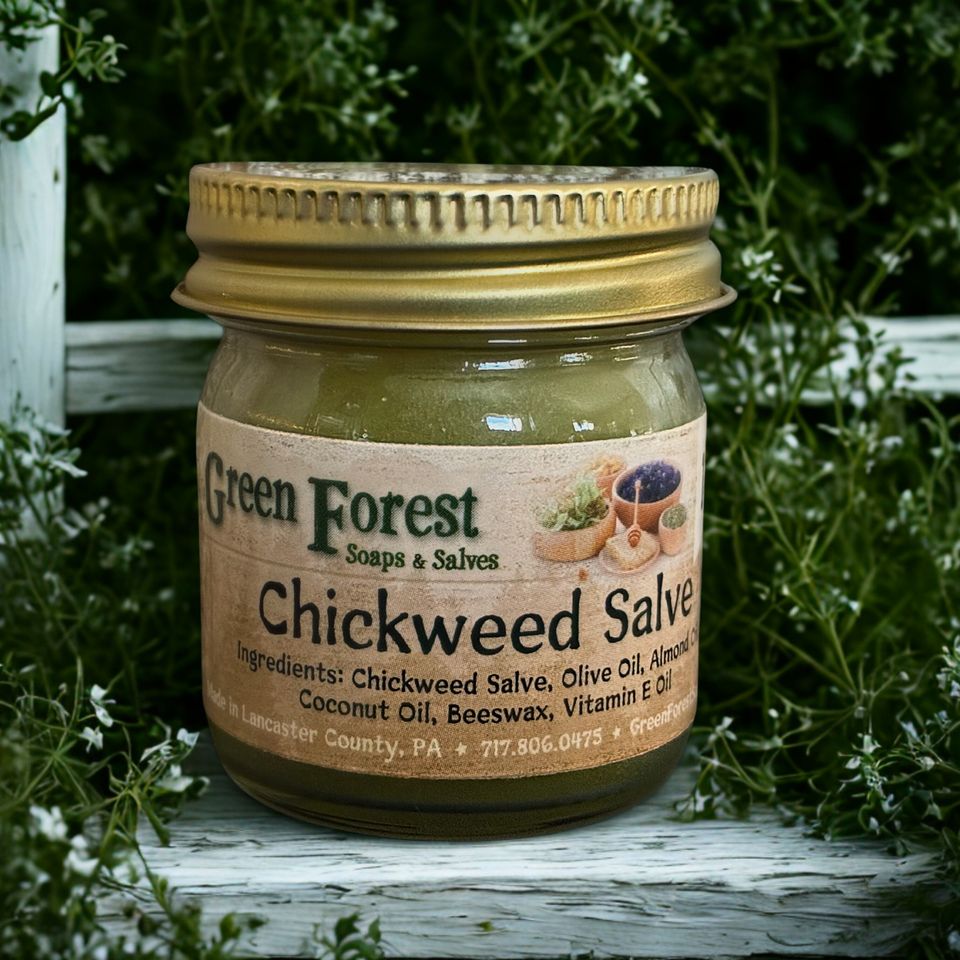 Chickweed Salve from Green Forest Soaps & Salves in Paradise, PA