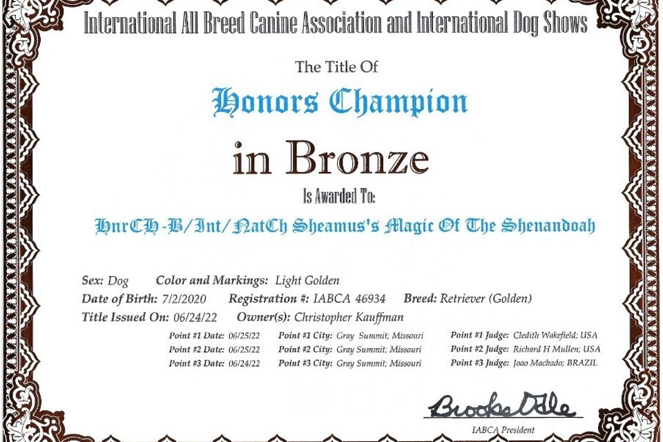 Monte cert 1