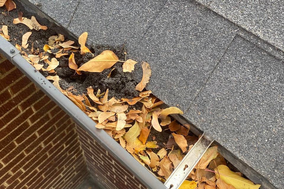 Gutters before