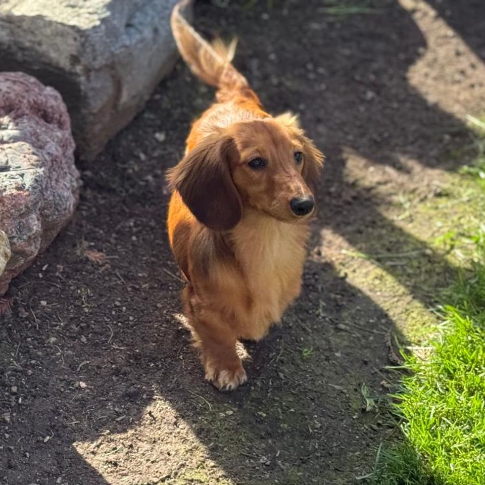 Ruby