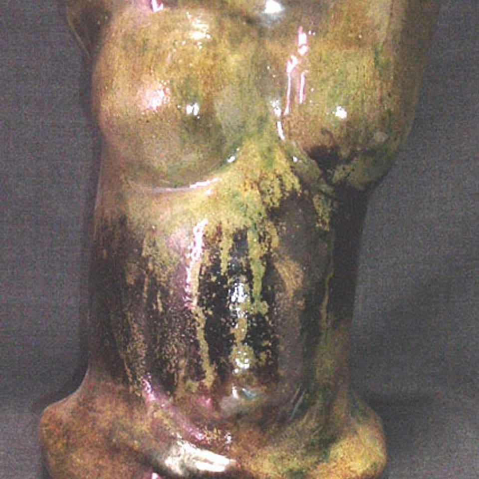 Torso