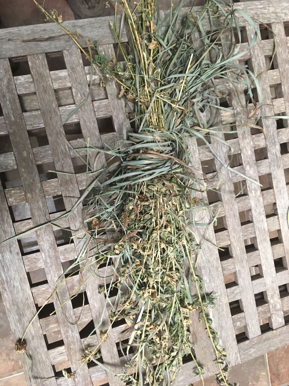 Hay pic 120170906 8115 tsm4wn