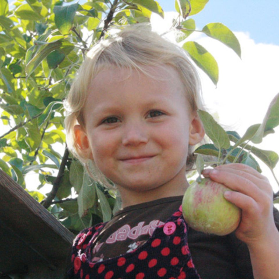 Heritage girl picking in a tree20130923 12000 10zxqw1 0