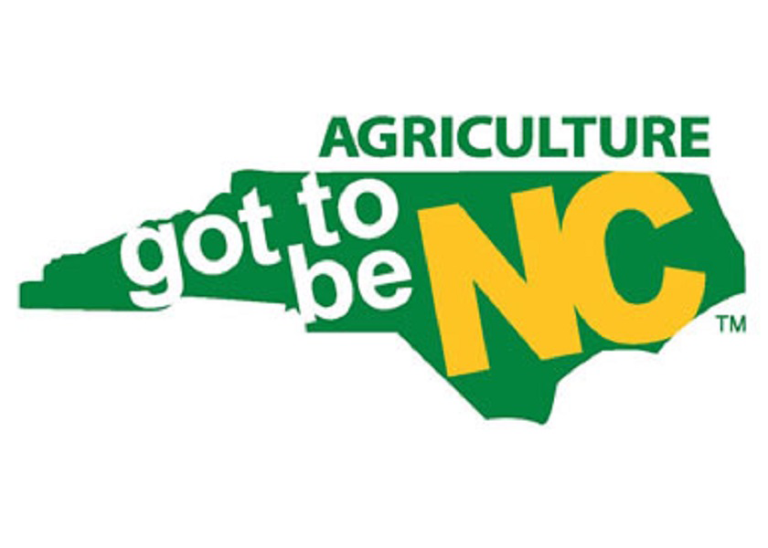 Got to be nc new web