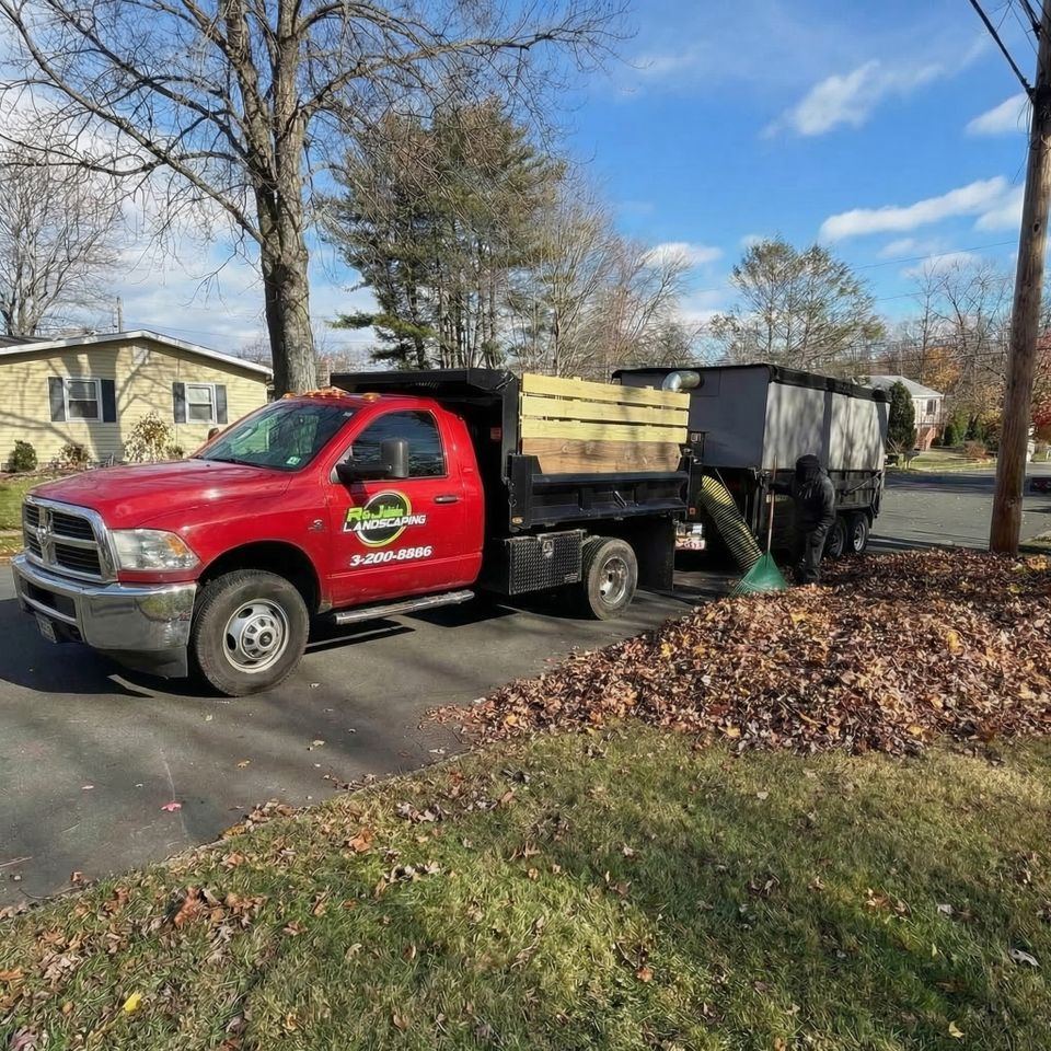 Fall Leave Removal | RJ Landscape Service