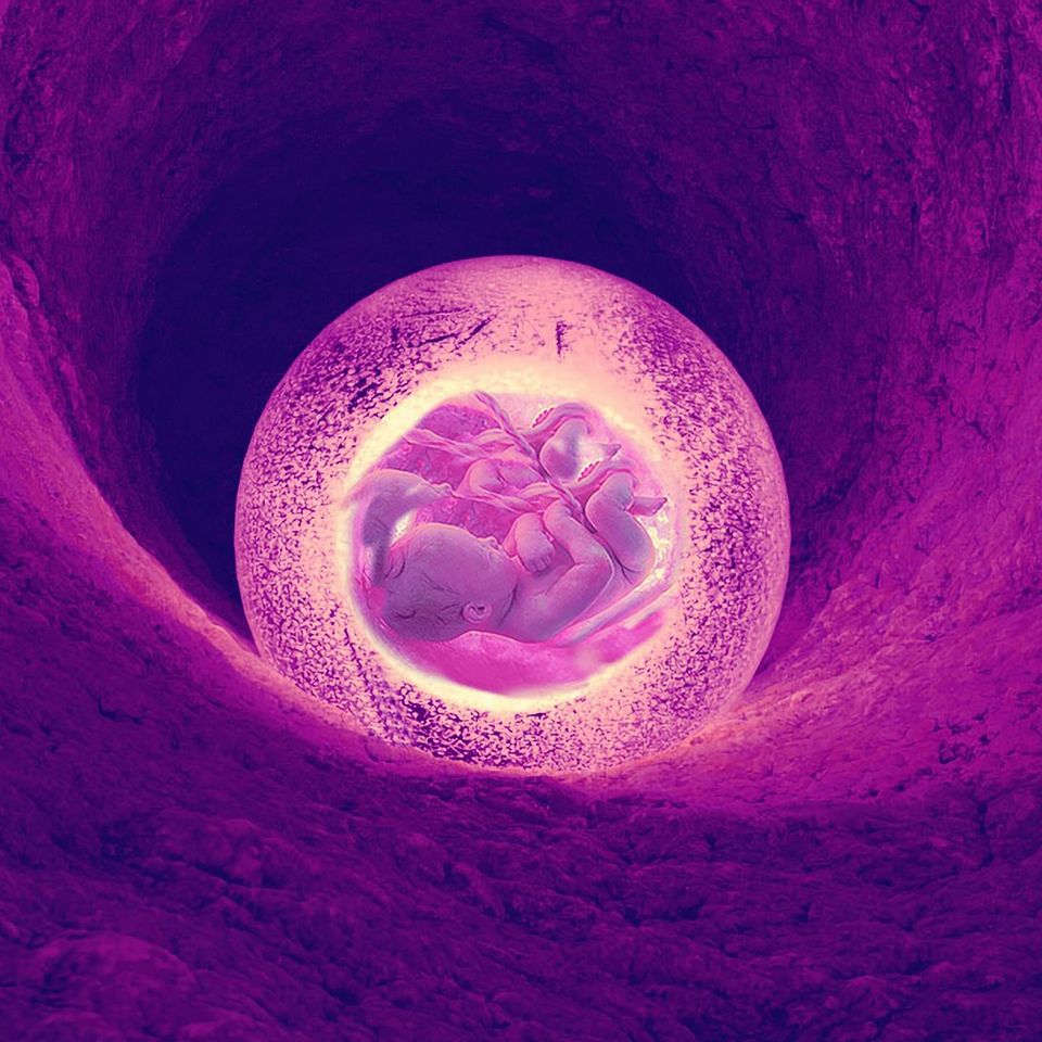 Unborn g0f26ff369 1920