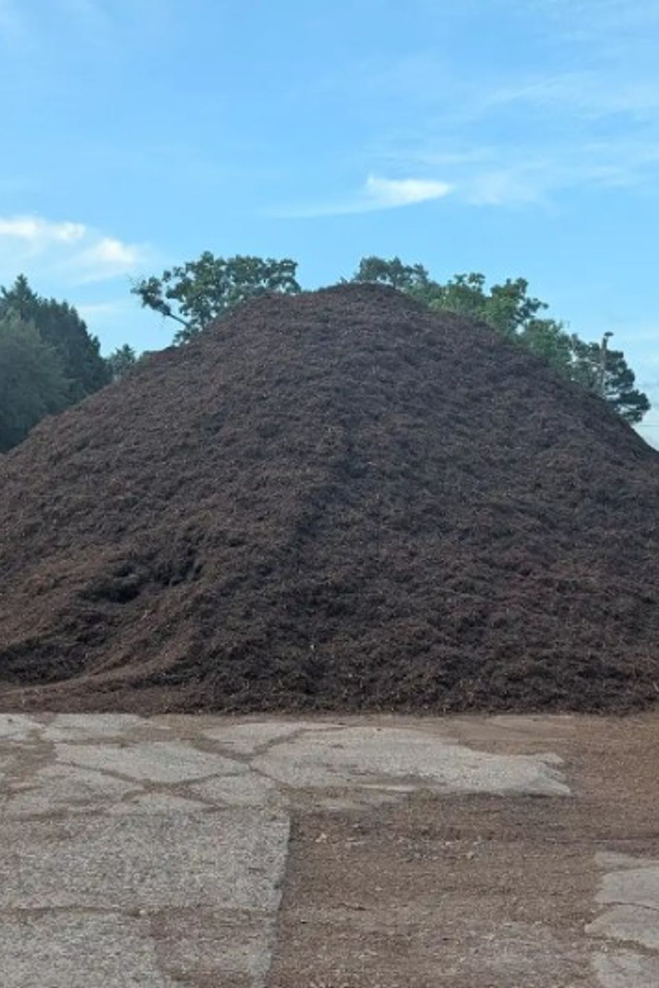 Mulch 1