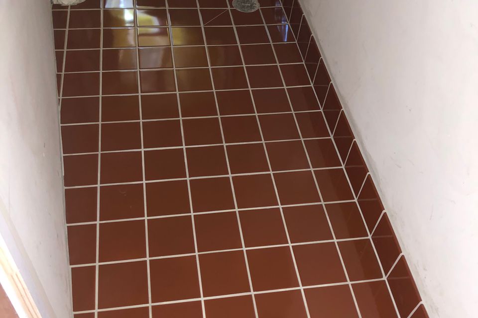 Img 3791