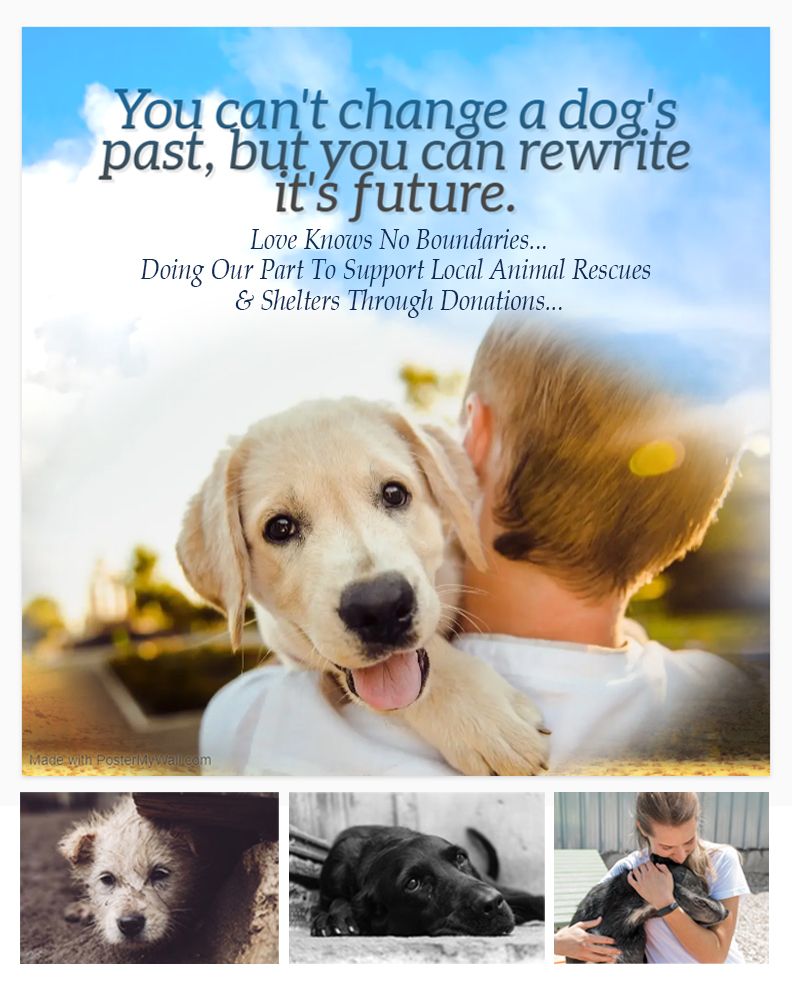 Donate to Animal Rescues