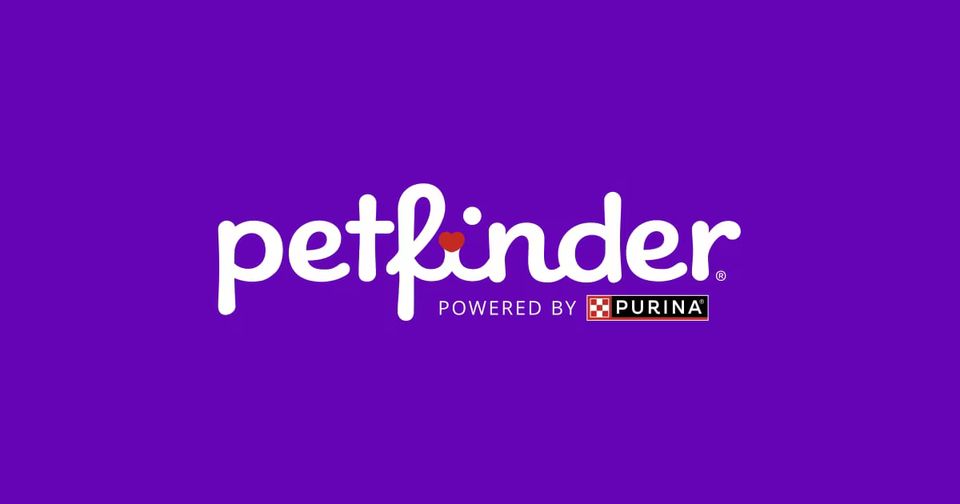 Petfinder logo