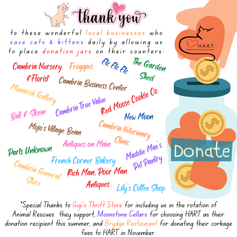 Thank you to the local businesses who save cats   kittens daily by allowing us to place a donation jar on their counter