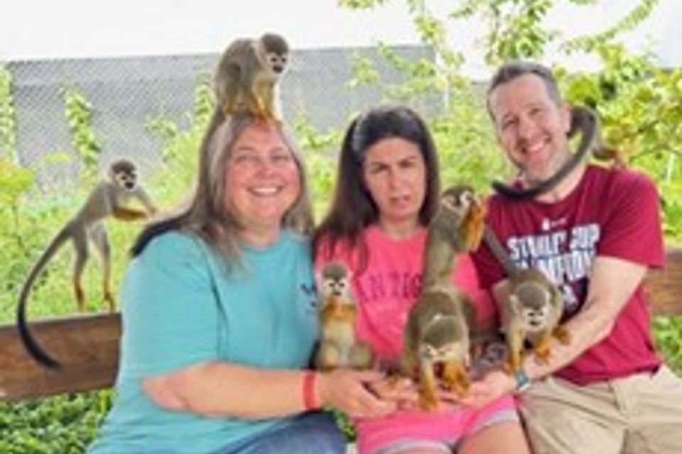 Monkey danielle
