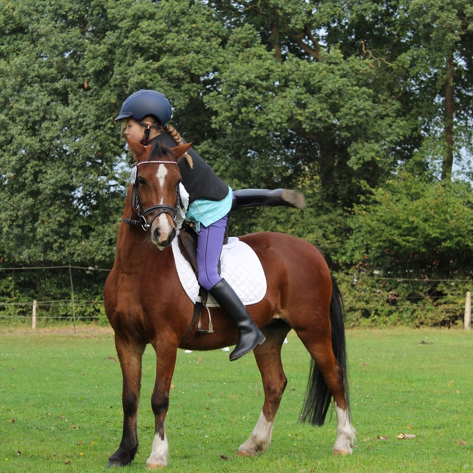 Pony Riding