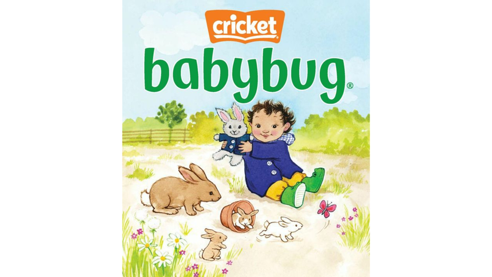 Bronze tier magazine   cricket babybug 2