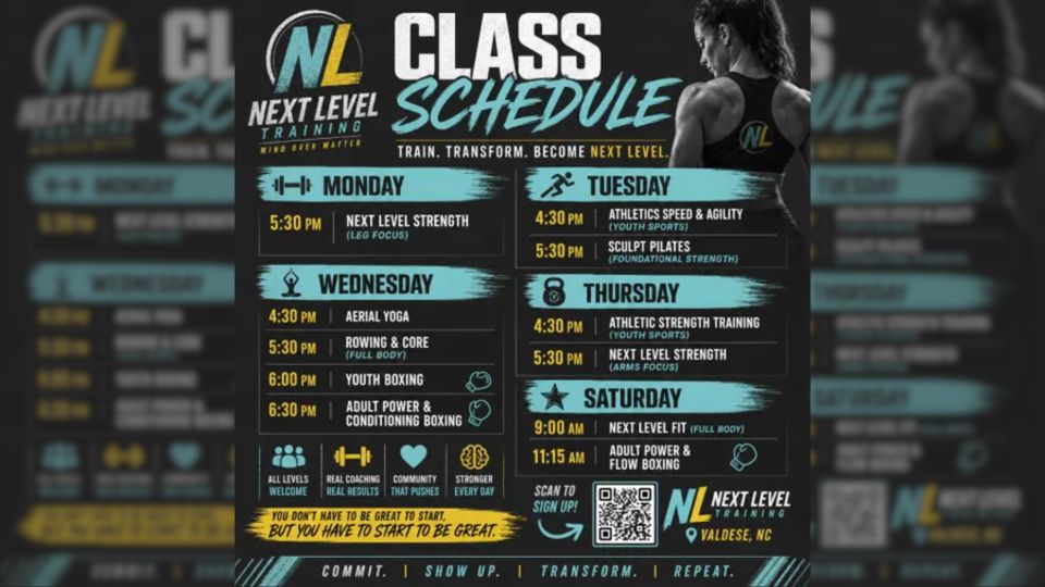 Next level training website (2)
