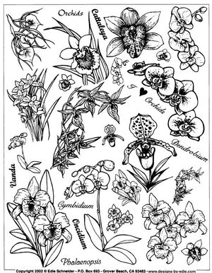 Orchid web