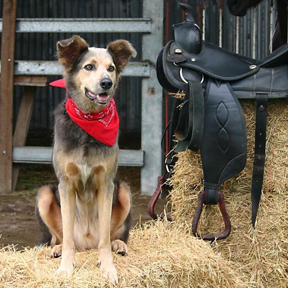 Country g576f05634 1920