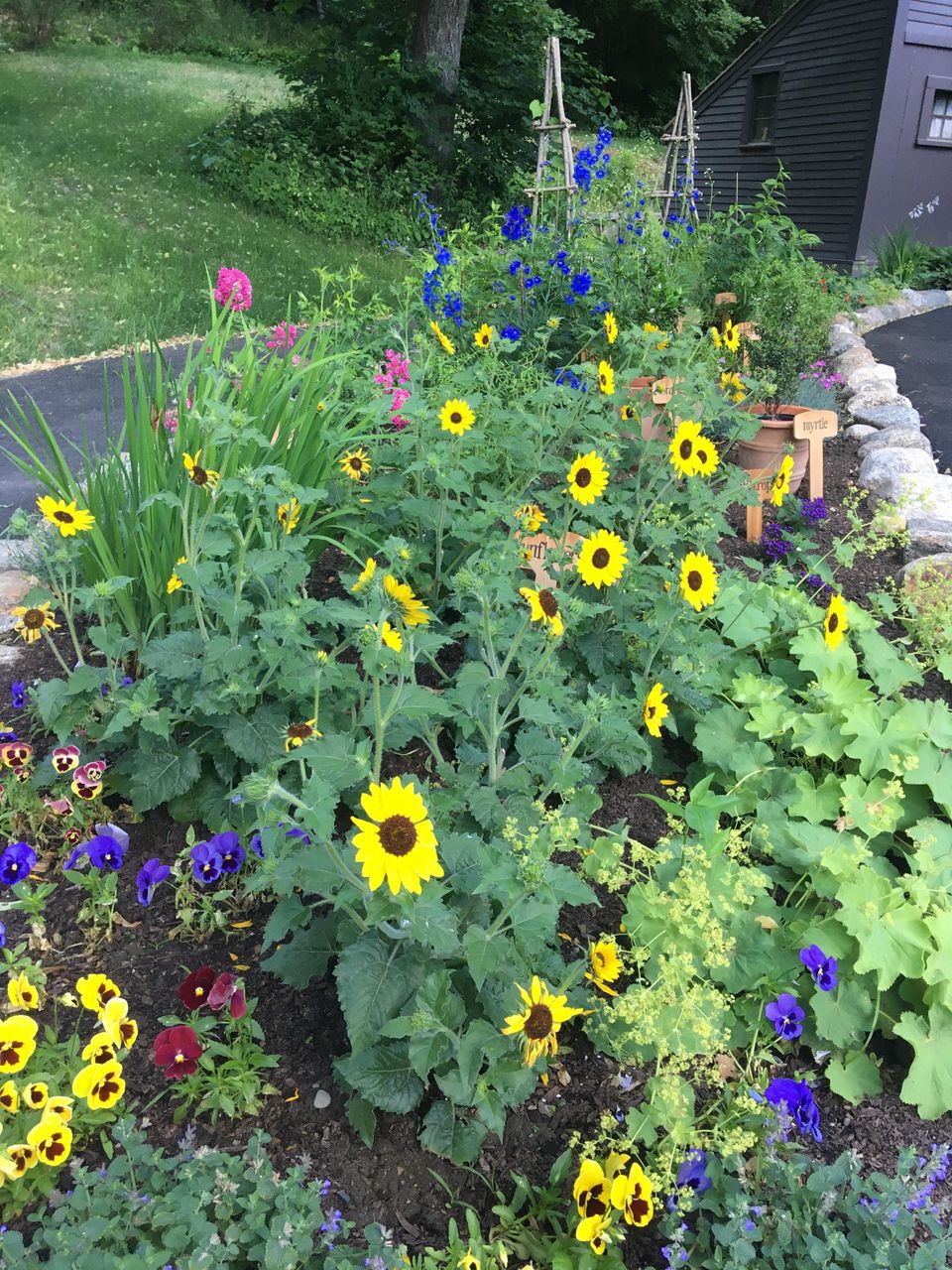 Gardenclubconcord