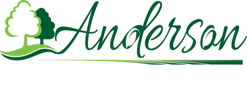 5. anderson logo