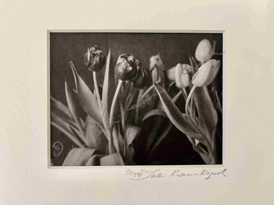 Two vases tulips white vs black platinum