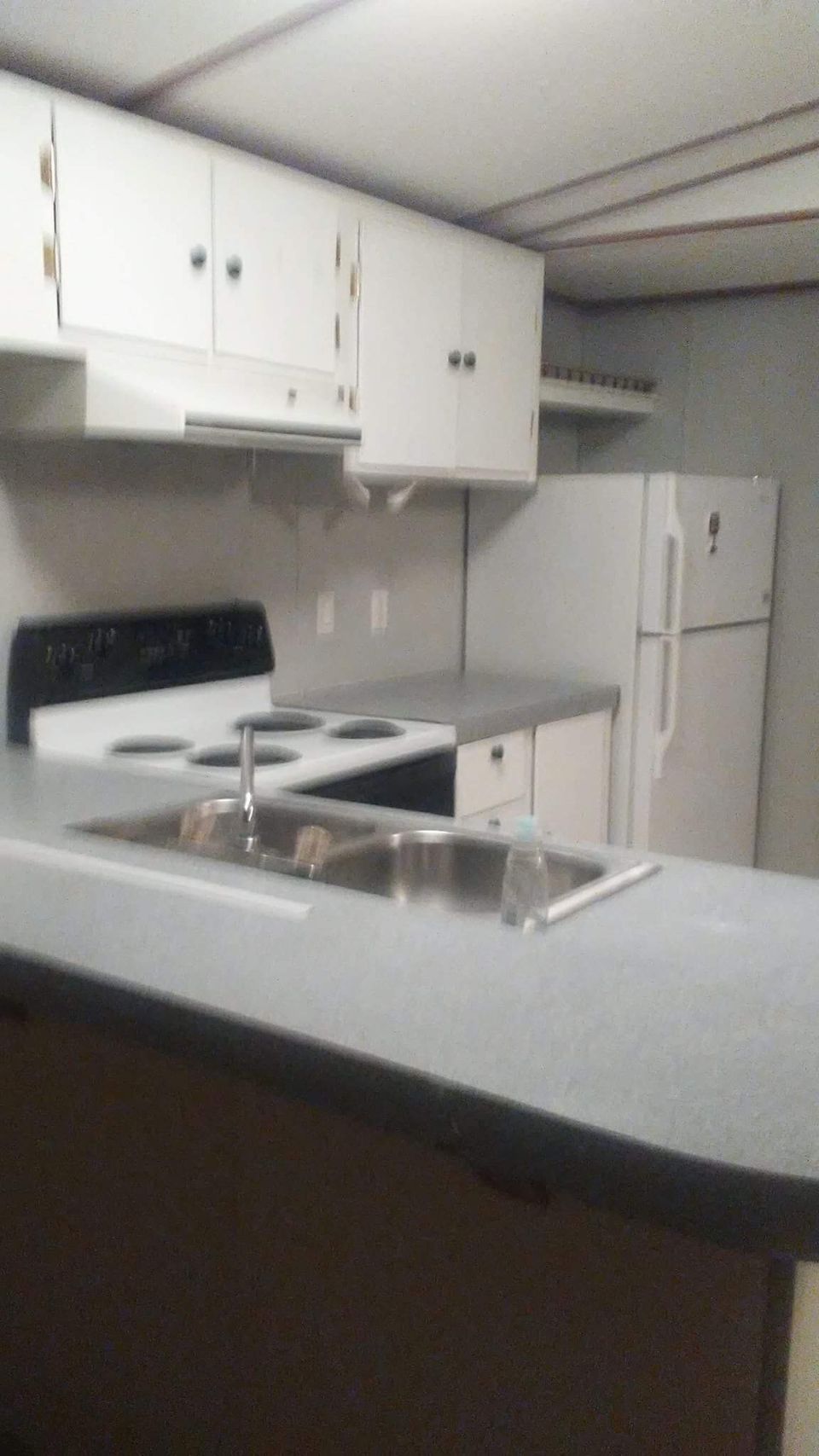 Img 0110