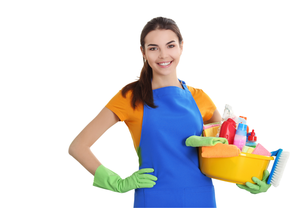 Copy of cleaner1