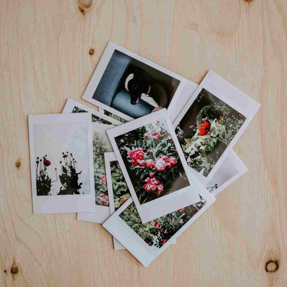 Annie spratt uttqcif8g9q unsplash