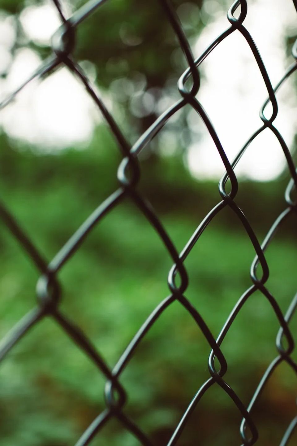 Chain Link Fence