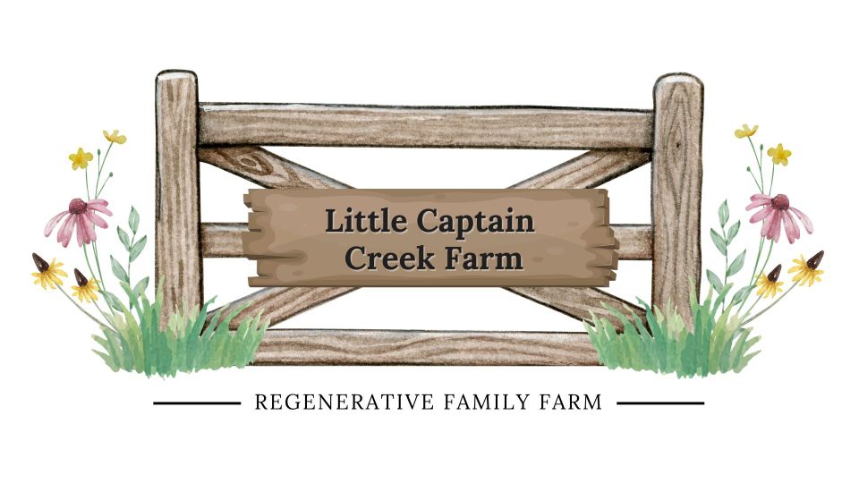 1743459565 67eb14ed5b922