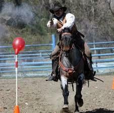 Horse mounted shooting