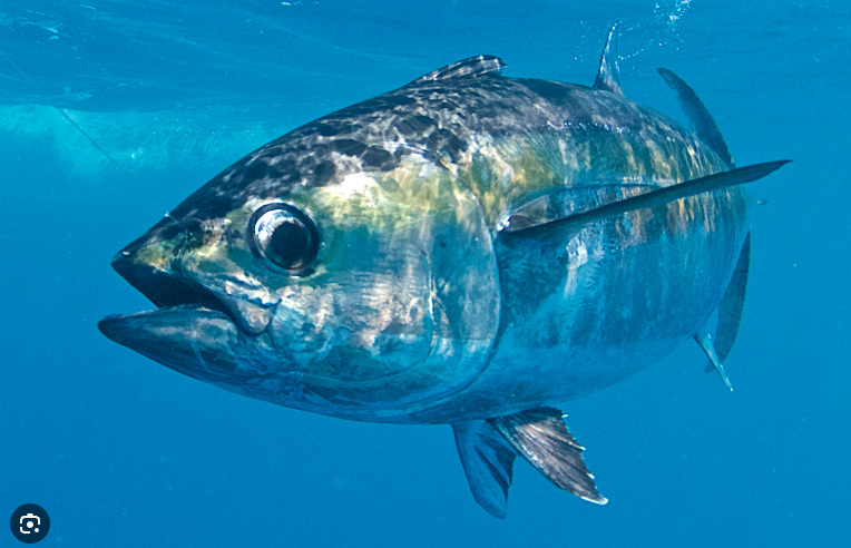 Screenshot 2026 02 24 at 10.25.19 am