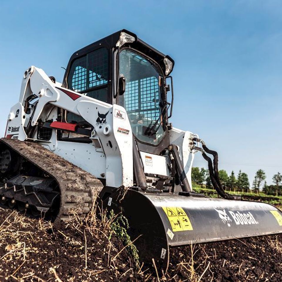 Bobcat