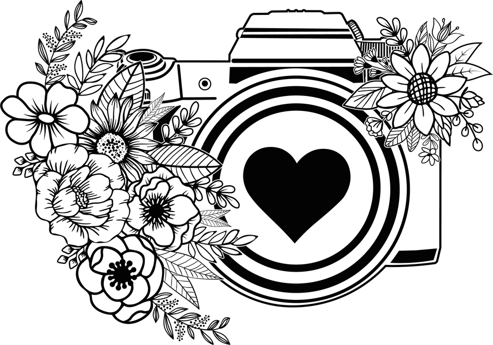 Profession   photographer camera 4 9