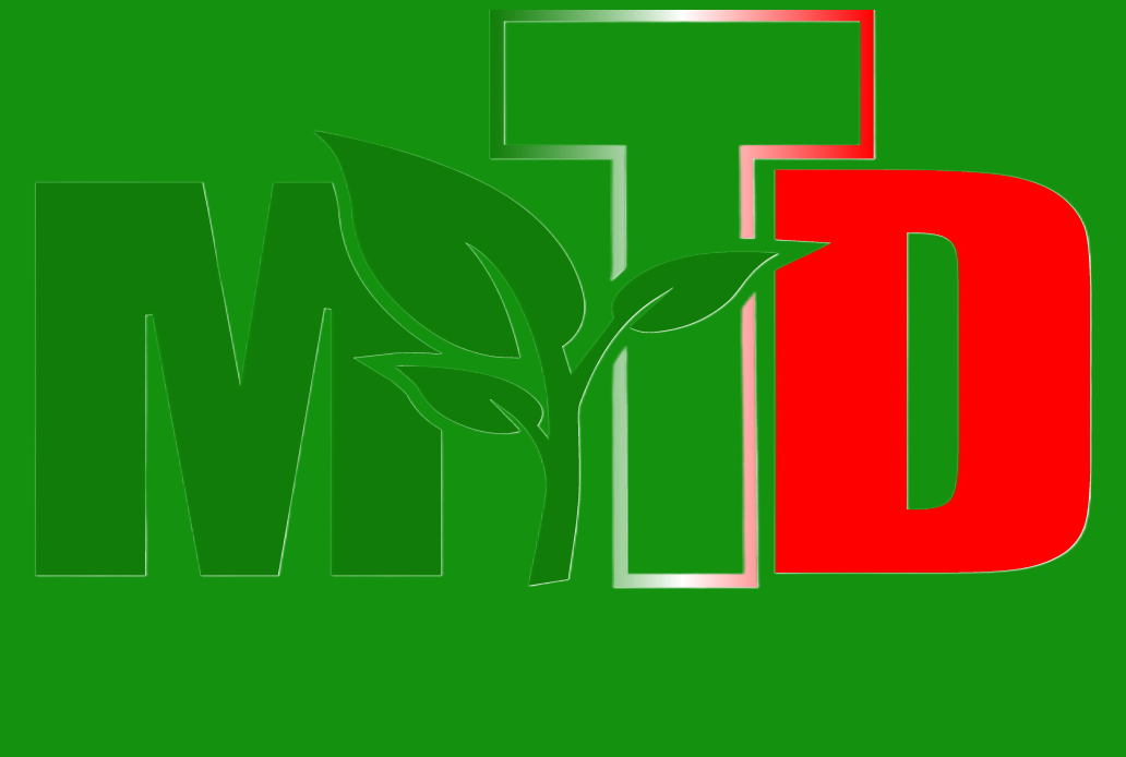 MTD Farms Transplanting