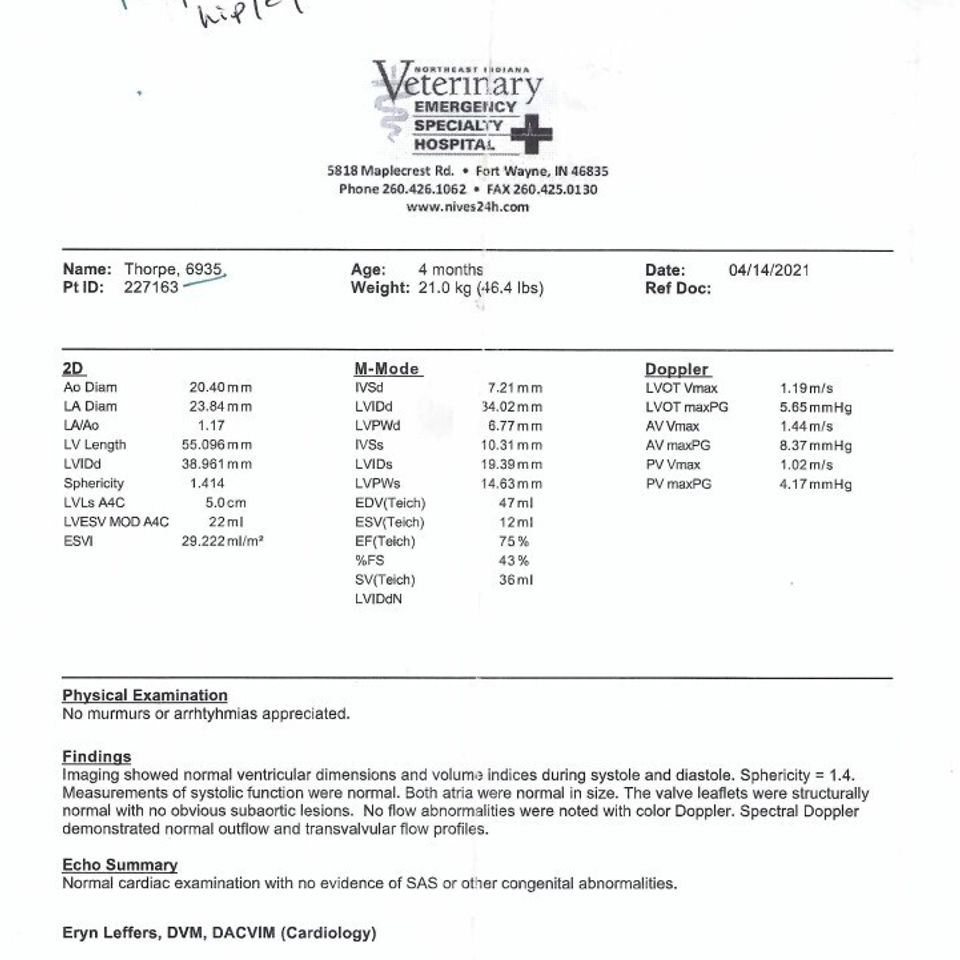 Novas   cardiac report