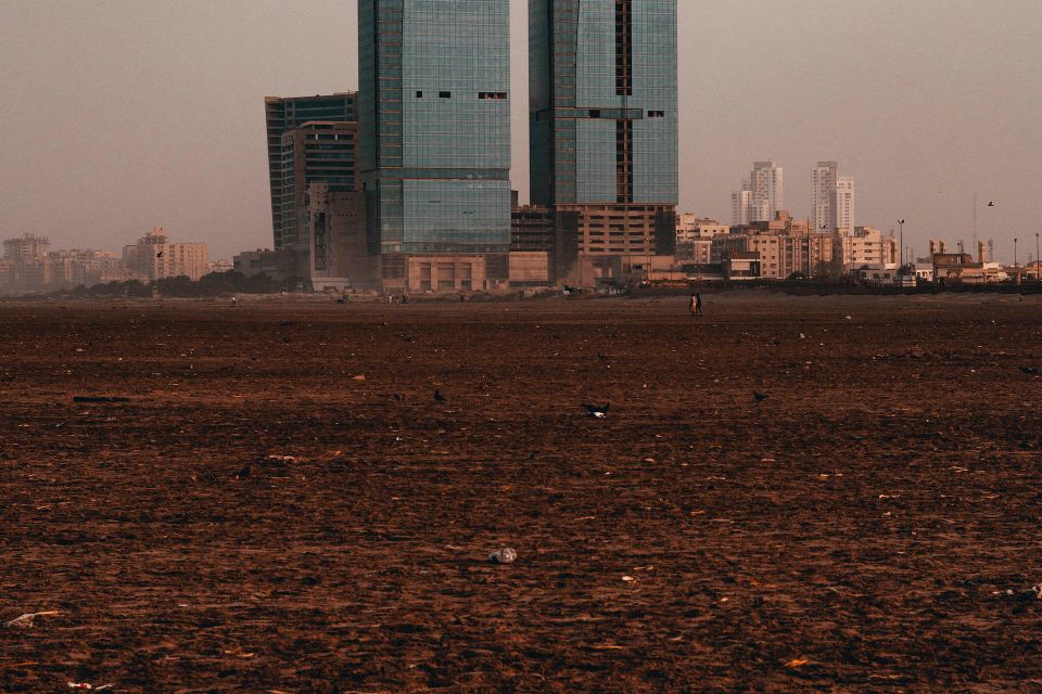 Pexels talha riaz 2590716