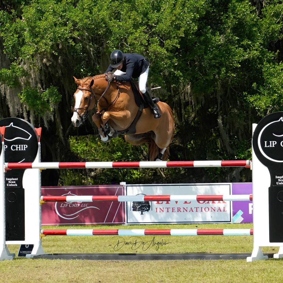 Jumper 1